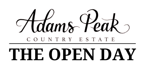 The Open Day Logo 2026