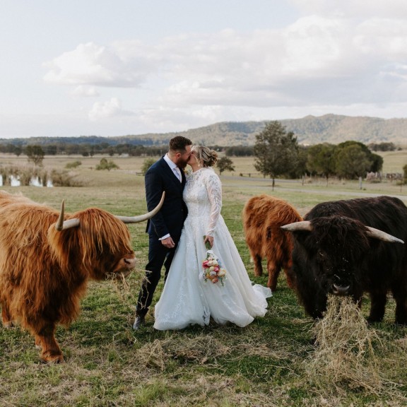 taylor harry adams peak wedding story of us 605